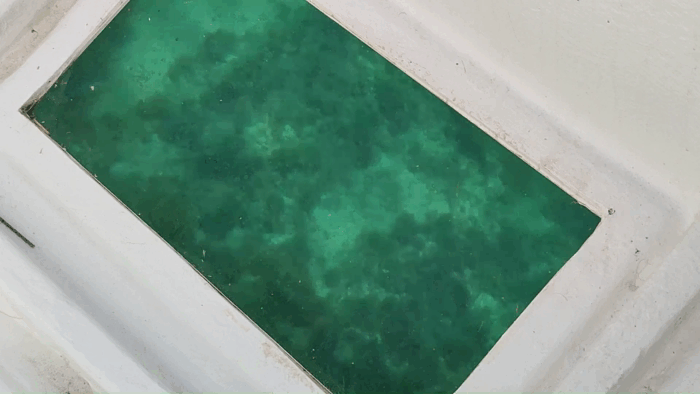 JTdCJTIyZXMlMjIlM0ElMjJFeGN1cnNpb25lcyUyMGVuJTIwYmFyY28lMjBhJTIwbGFzJTIwY3VldmFzJTIwbWFyaW5hcyUyMGRlJTIwU2lyYWN1c2ElMjBkZXNkZSUyME9ydGlnaWElMjBNYXJlJTNBJTIwZGVzY3VicmUlMjBPcnRpZ2lhJTIweSUyMFBsZW1taXJpbyUyMGRlc2RlJTIwZWwlMjBtYXIuJTIyJTJDJTIyaXQlMjIlM0ElMjJPcnRpZ2lhJTIwTWFyZSUyMEVzY3Vyc2lvbmklMjBpbiUyMGJhcmNhJTIwYWxsZSUyMGdyb3R0ZSUyMG1hcmluZSUyMGRpJTIwU2lyYWN1c2ElMjAlRTIlODAlOTMlMjBTY29wcmklMjBPcnRpZ2lhJTIwZSUyMGlsJTIwUGxlbW1pcmlvJTIwZGFsJTIwbWFyZSUyMiUyQyUyMmVuJTIyJTNBJTIyT3J0aWdpYSUyME1hcmUlMjBCb2F0JTIwVHJpcHMlMjB0byUyMHRoZSUyMFNlYSUyMENhdmVzJTIwb2YlMjBTeXJhY3VzZSUyMCVFMiU4MCU5MyUyMERpc2NvdmVyJTIwT3J0aWdpYSUyMGFuZCUyMFBsZW1taXJpbyUyMGZyb20lMjB0aGUlMjBTZWElMjIlN0Q=