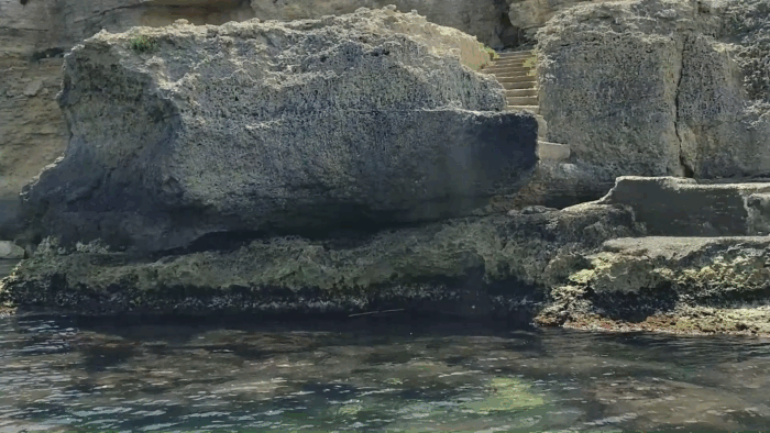 JTdCJTIyZXMlMjIlM0ElMjJFeGN1cnNpb25lcyUyMGVuJTIwYmFyY28lMjBhJTIwbGFzJTIwY3VldmFzJTIwbWFyaW5hcyUyMGRlJTIwU2lyYWN1c2ElMjBkZXNkZSUyME9ydGlnaWElMjBNYXJlJTNBJTIwZGVzY3VicmUlMjBPcnRpZ2lhJTIweSUyMFBsZW1taXJpbyUyMGRlc2RlJTIwZWwlMjBtYXIuJTIyJTJDJTIyaXQlMjIlM0ElMjJPcnRpZ2lhJTIwTWFyZSUyMEVzY3Vyc2lvbmklMjBpbiUyMGJhcmNhJTIwYWxsZSUyMGdyb3R0ZSUyMG1hcmluZSUyMGRpJTIwU2lyYWN1c2ElMjAlRTIlODAlOTMlMjBTY29wcmklMjBPcnRpZ2lhJTIwZSUyMGlsJTIwUGxlbW1pcmlvJTIwZGFsJTIwbWFyZSUyMiUyQyUyMmVuJTIyJTNBJTIyT3J0aWdpYSUyME1hcmUlMjBCb2F0JTIwVHJpcHMlMjB0byUyMHRoZSUyMFNlYSUyMENhdmVzJTIwb2YlMjBTeXJhY3VzZSUyMCVFMiU4MCU5MyUyMERpc2NvdmVyJTIwT3J0aWdpYSUyMGFuZCUyMFBsZW1taXJpbyUyMGZyb20lMjB0aGUlMjBTZWElMjIlN0Q=