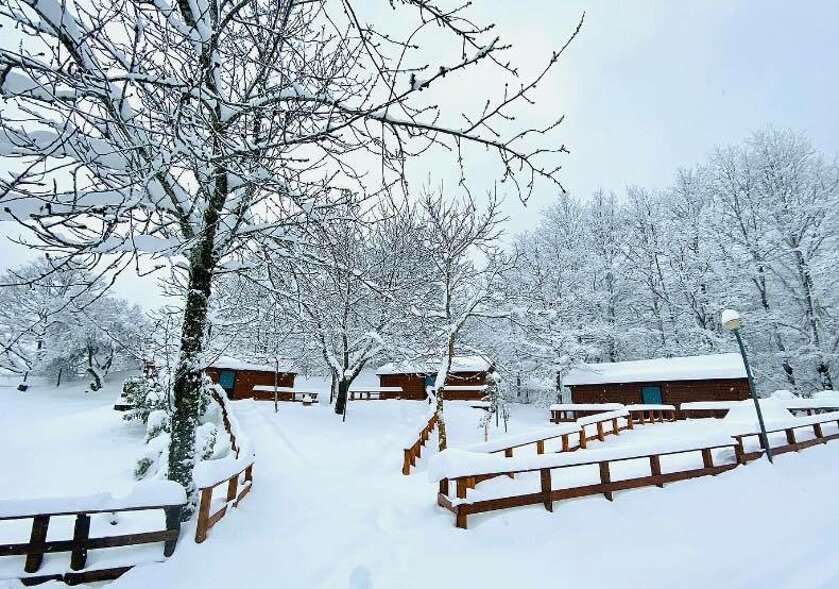 baite_neve.jpeg baite_neve.jpeg