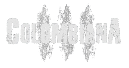 logo-removebg-preview
