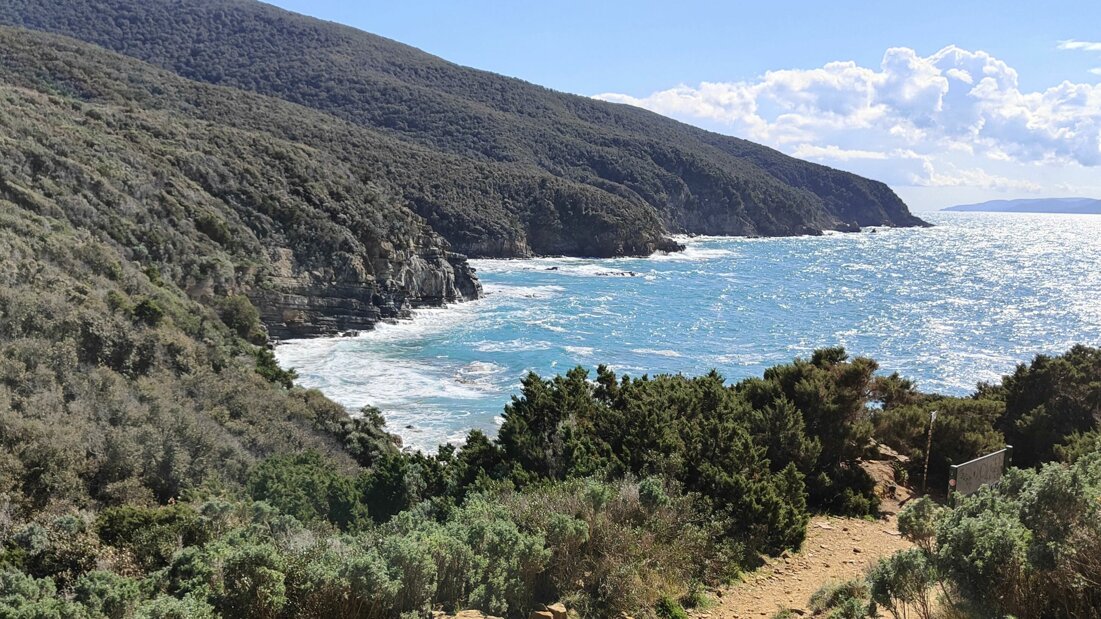 img20250316133930.jpeg img20250316133930.jpeg