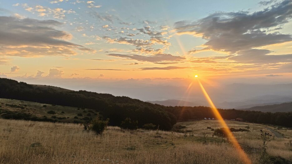 img20250803061602.jpeg img20250803061602.jpeg