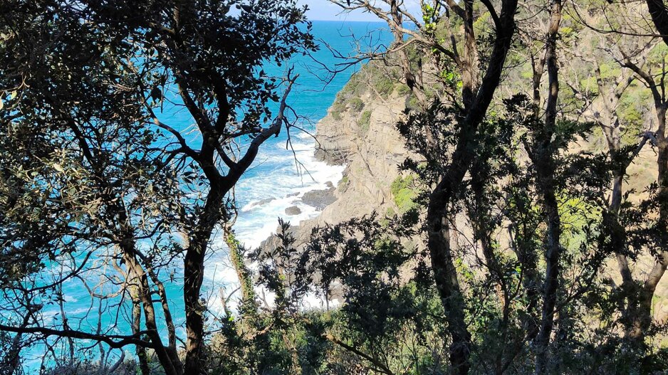 img20250316132114.jpeg img20250316132114.jpeg