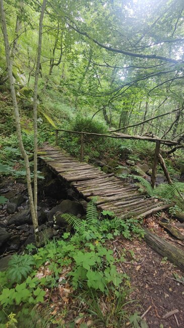 Pania della croce Pania della croce