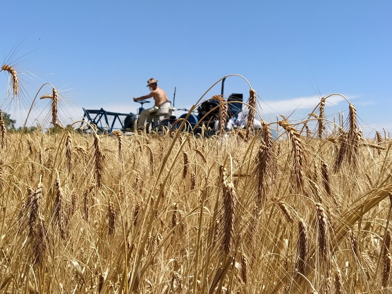 campo_catalogo_ssgs_1.jpeg