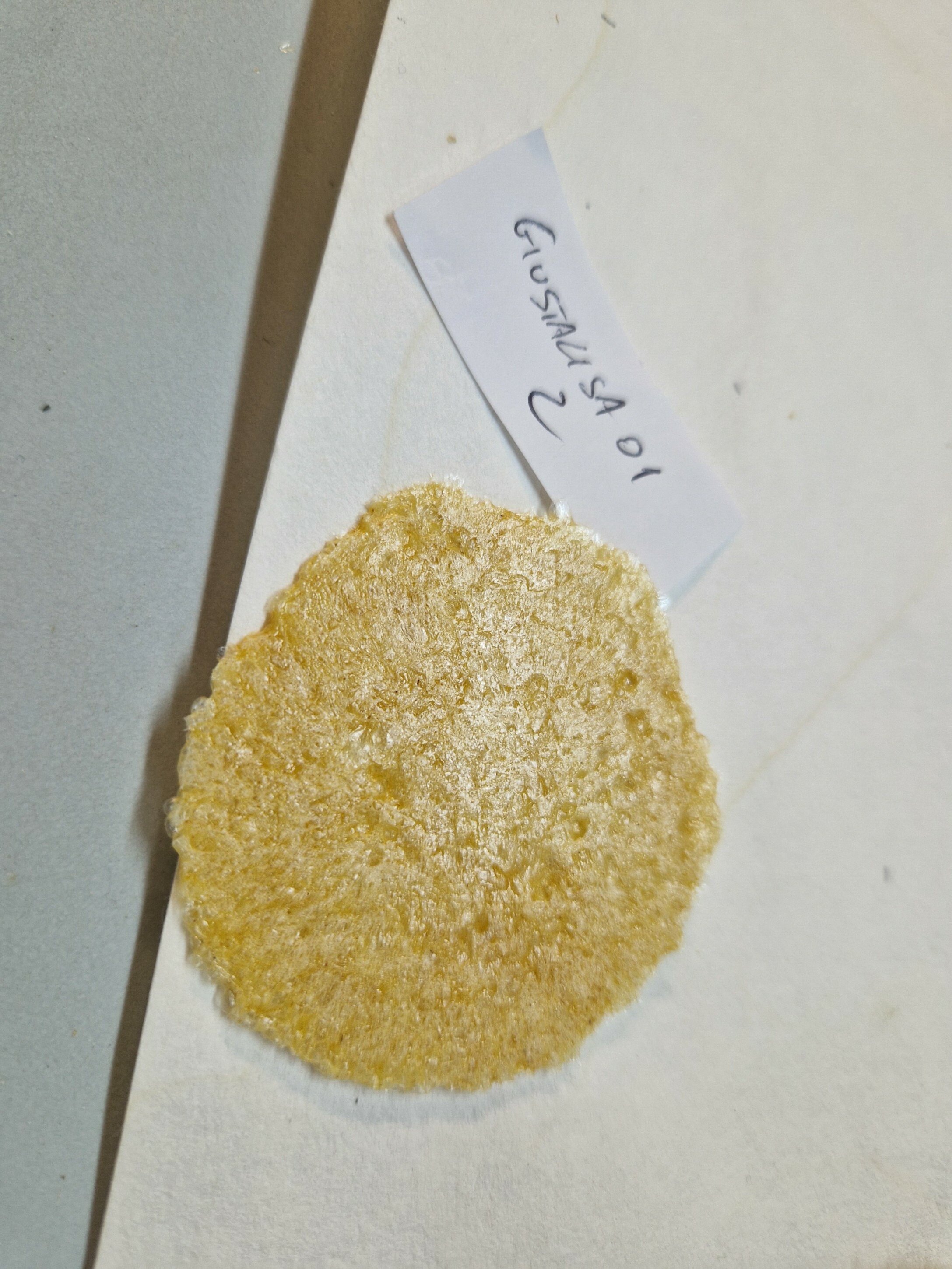 estrazioni-glutine-(9).jpeg