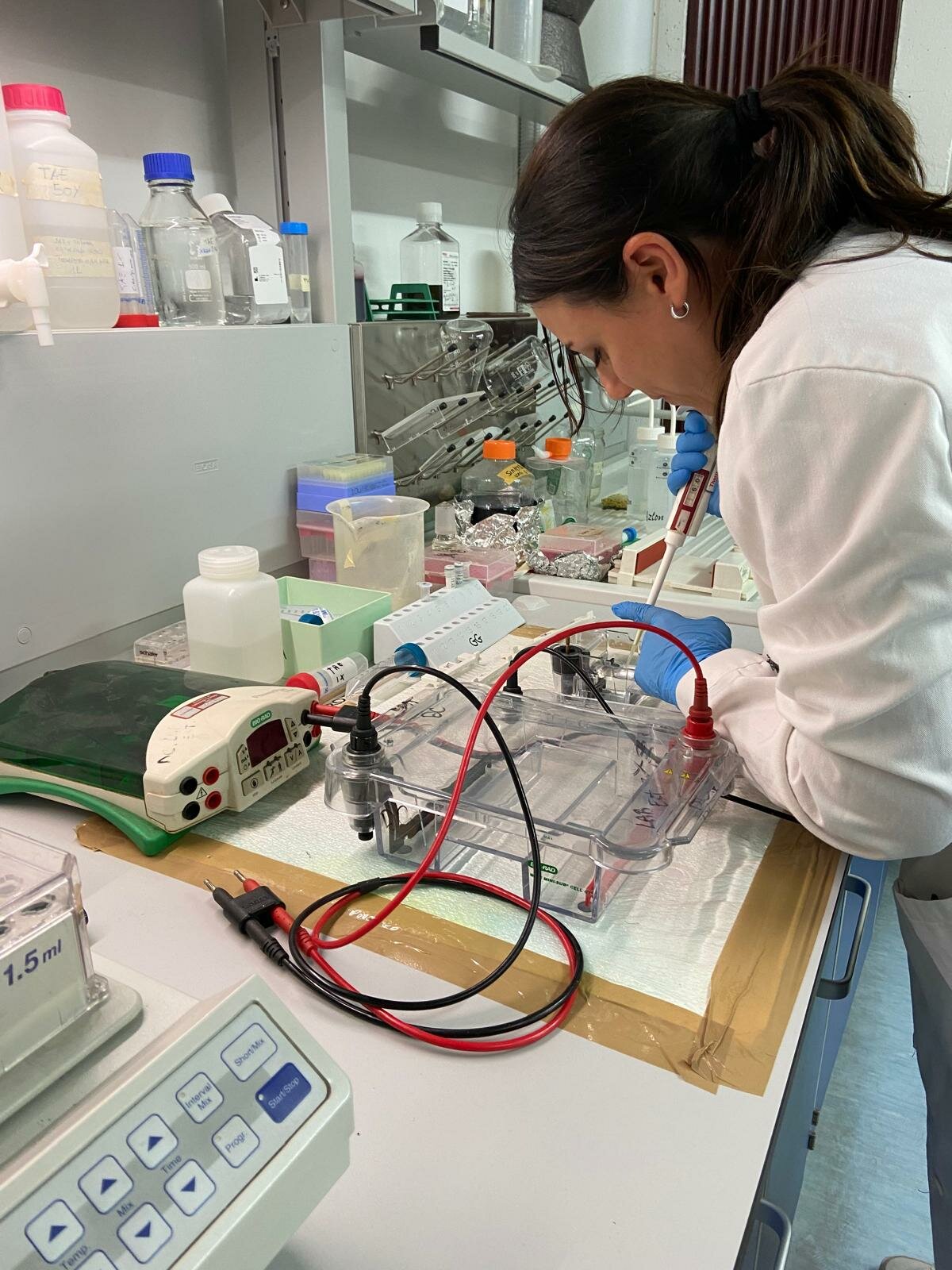 Laboratorio genetica