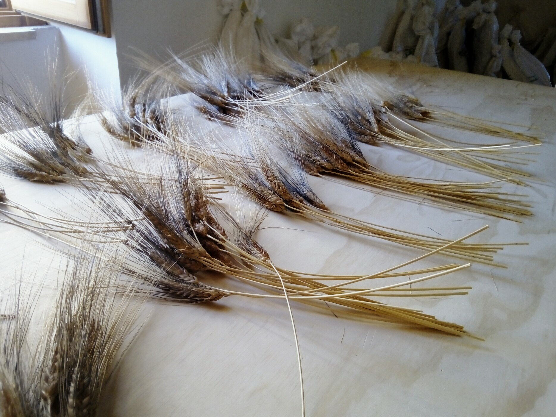Laboratorio Agronomia