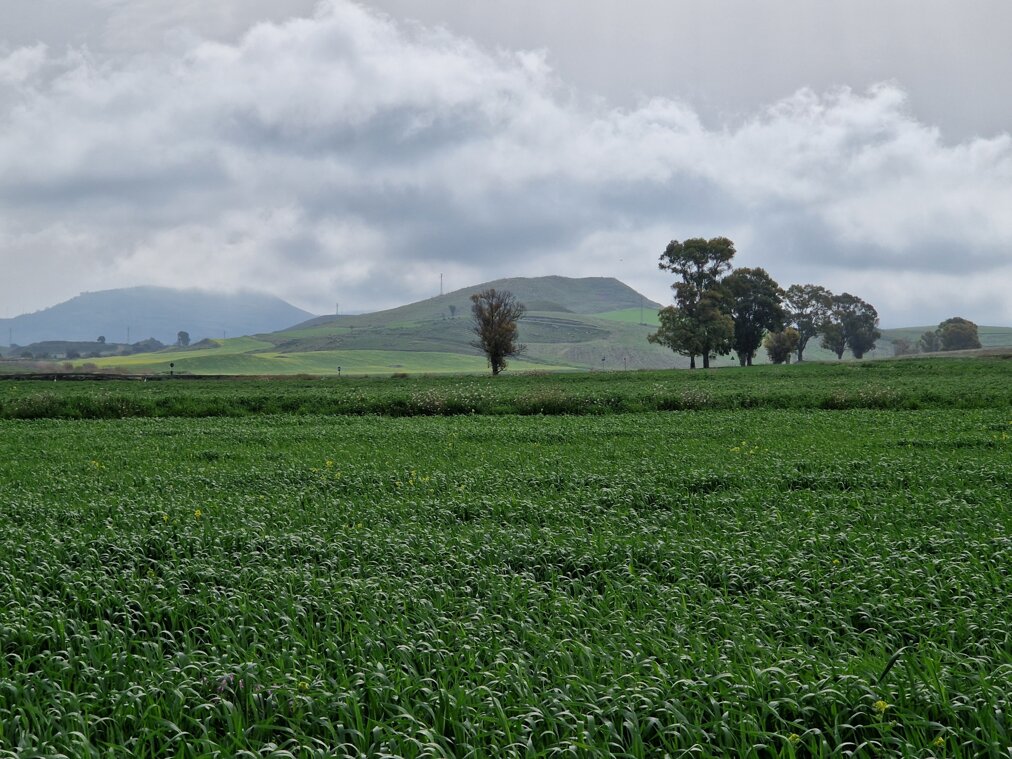 giorlando_pieno campo2.jpeg
