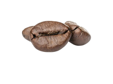 image-removebg-preview