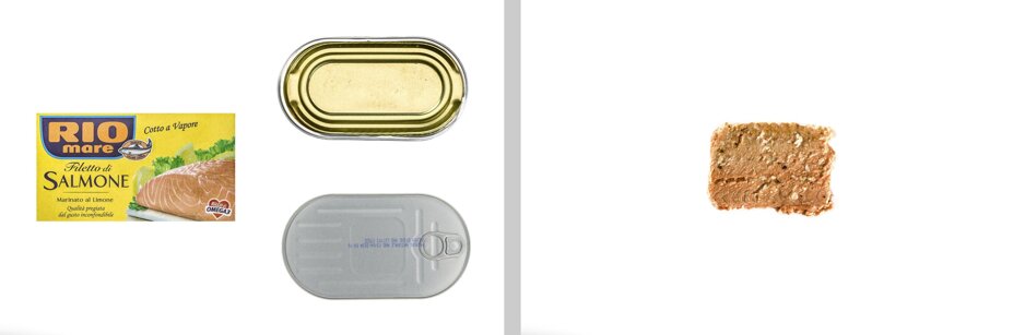 salmone 2a completa -2.jpeg