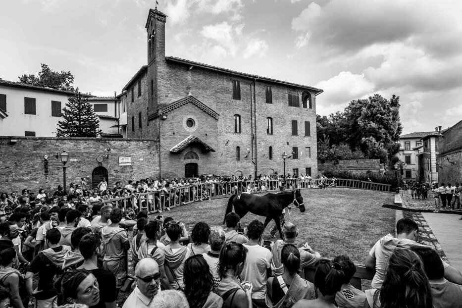 39__palio.jpeg