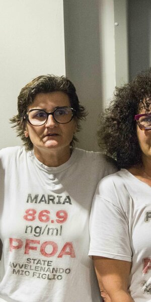 _dsc6445.jpeg _dsc6445.jpeg