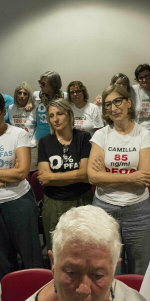 _dsc6508.jpeg _dsc6508.jpeg