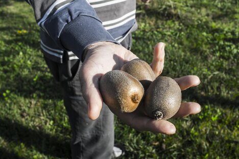 _dsf9176-2.jpeg _dsf9176-2.jpeg