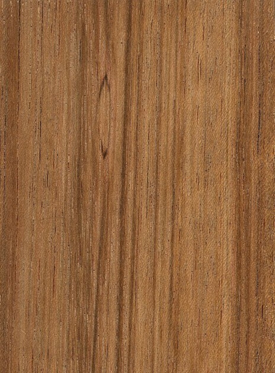 etimoè okok.jpeg etimoè okok.jpeg