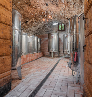 Cantina tradizionale con serbatoi in acciaio per vino artigianale Cantina tradizionale con serbatoi in acciaio per vino artigianale
