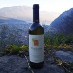 chardonnay-igt-vino-bianco