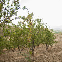 _dsc0397.jpeg