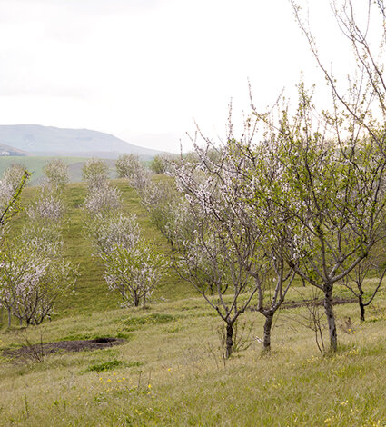 _dsc9476.jpeg _dsc9476.jpeg