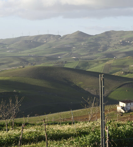 _dsc9476_low.jpeg _dsc9476_low.jpeg