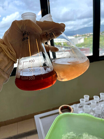 lab4_low.jpeg