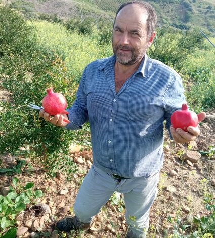 stellino%20salvatore%201.jpeg stellino%20salvatore%201.jpeg