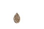 logobiola logobiola