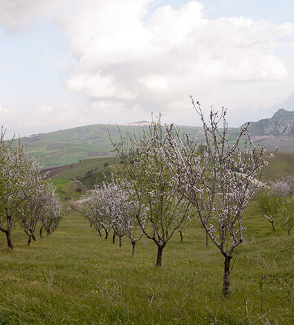 _dsc9470.jpeg _dsc9470.jpeg