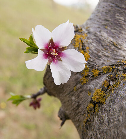 _dsc9496.jpeg _dsc9496.jpeg
