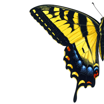 offerta da prendere al volo