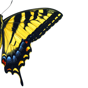 offerta da prendere al volo