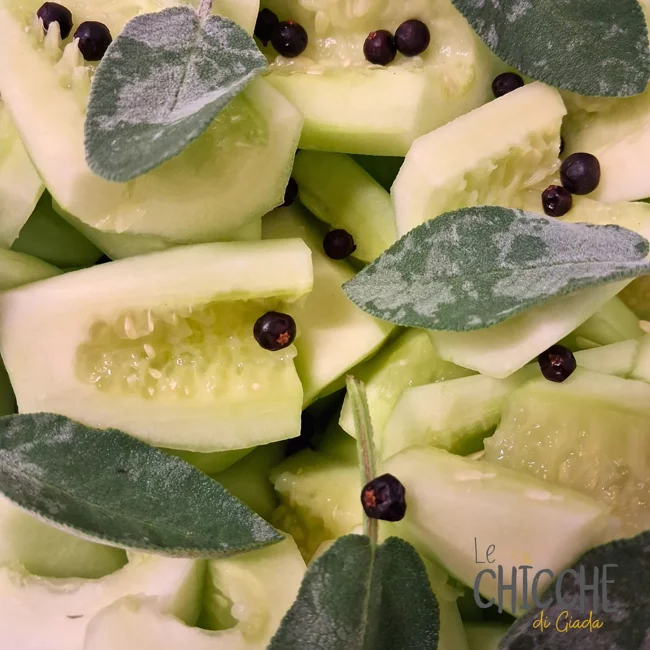 ingredienti cetriolo spaziale
