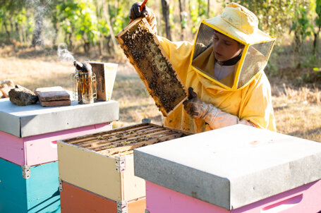 apicoltrice in visita alle api apicoltrice in visita alle api