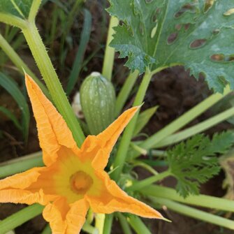 img_20240911_103528.jpeg