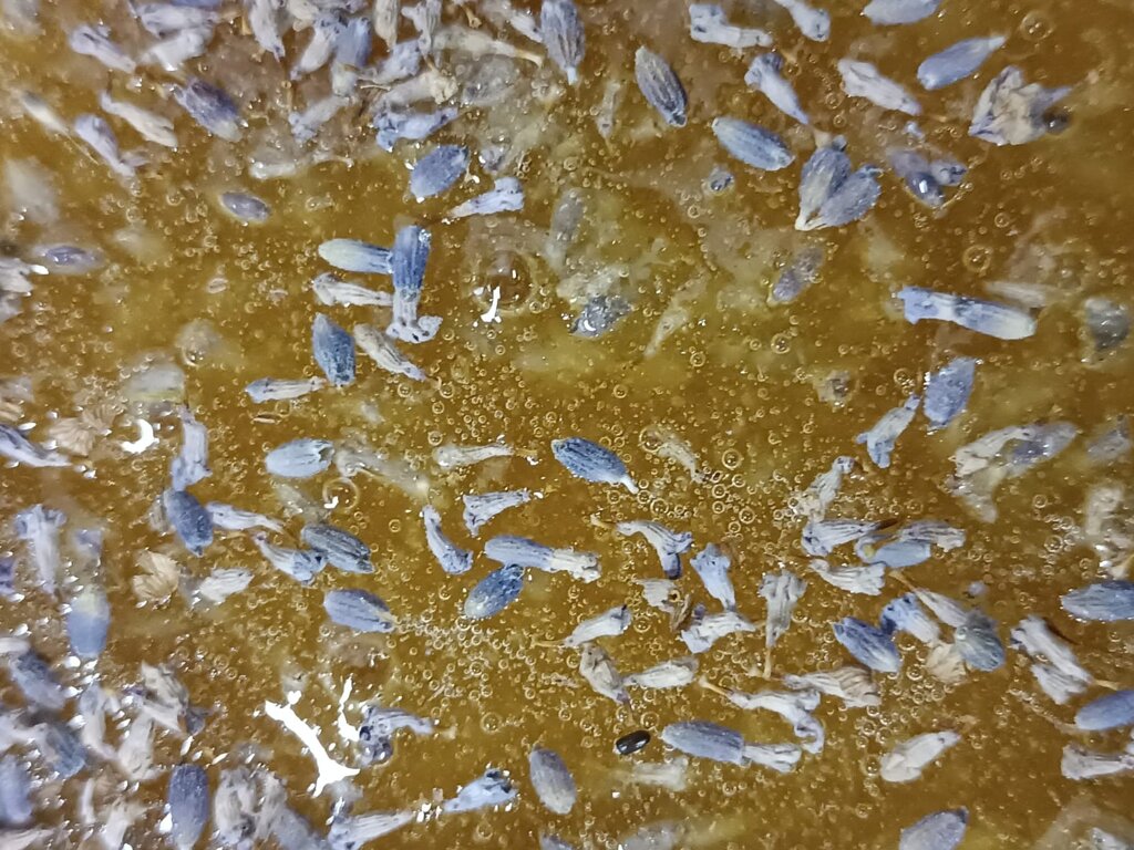 Miele e fiori di Lavanda Miele e fiori di Lavanda