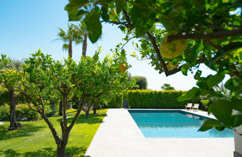 foto-78.jpeg foto-78.jpeg