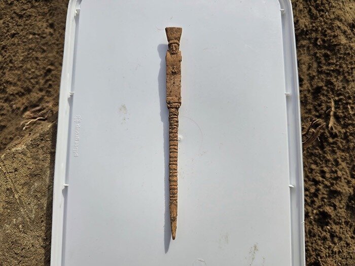 img202512111724304541.jpeg img202512111724304541.jpeg