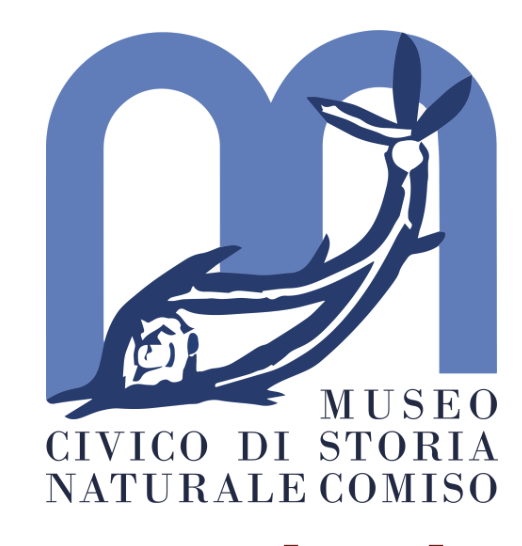 I funghi iblei e dell'Etna. In mostra a Comiso