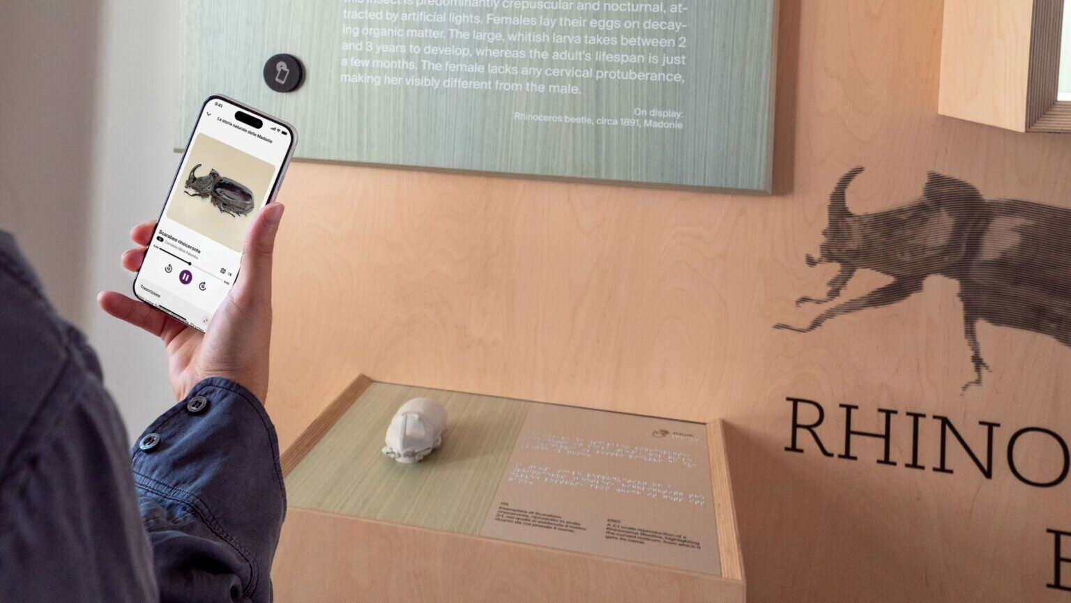 dotdotdot-museo-naturalistico-mina-palumbo-di-castelbuono-pa-immagine-dellallestimento-courtesy-dotdotdot-e-museo-naturalistico-mina-palumbo-2-1536x865.jpeg