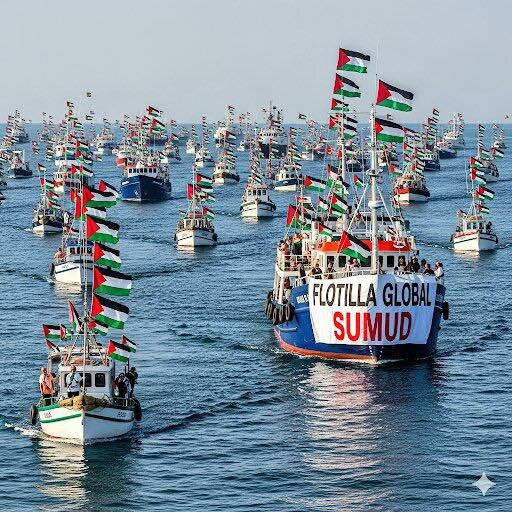 flotilla.jpeg