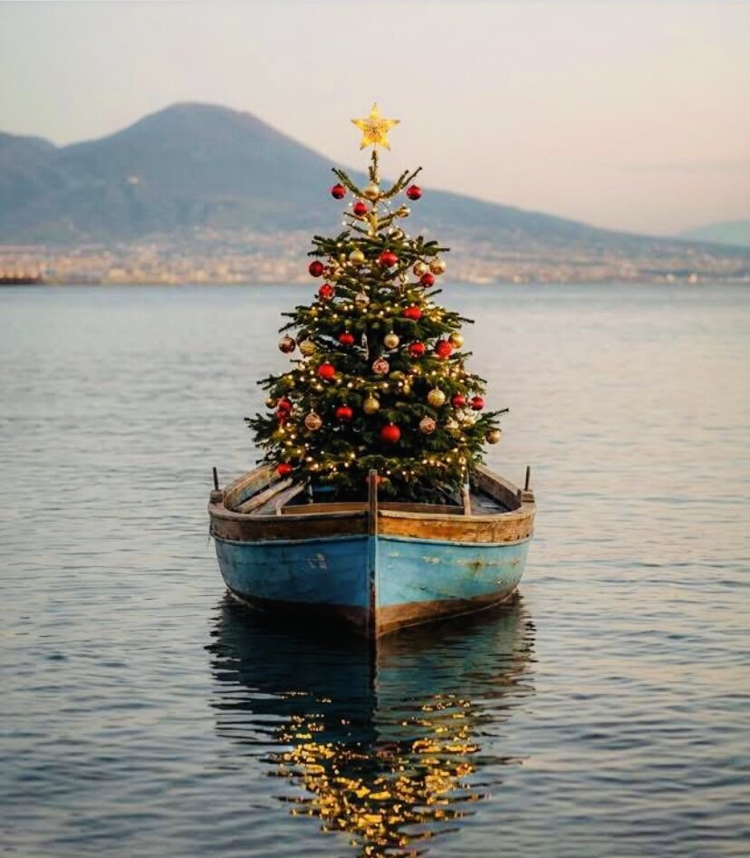 img_5274.jpeg img_5274.jpeg