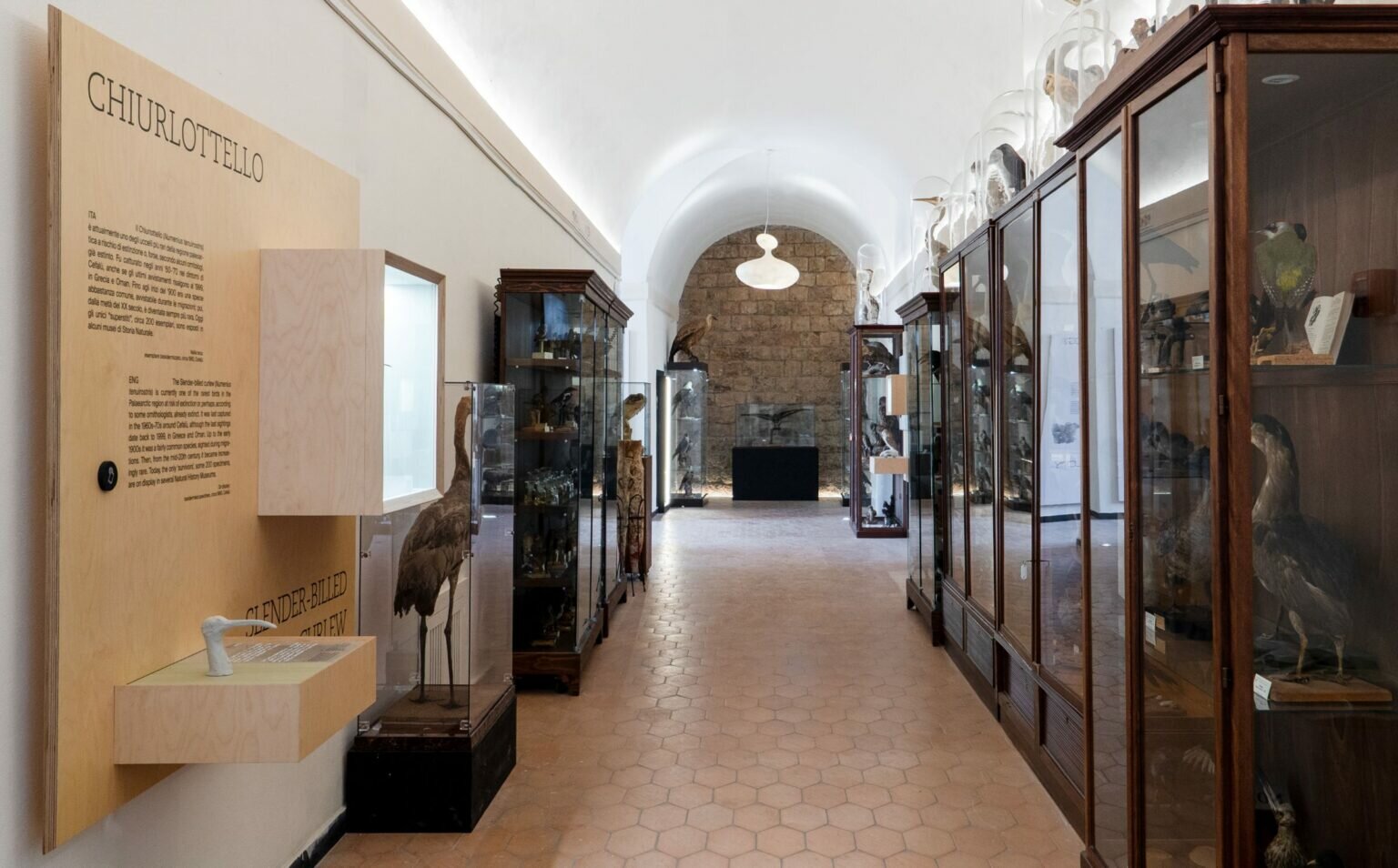 dotdotdot-museo-naturalistico-mina-palumbo-di-castelbuono-pa-immagine-dellallestimento-courtesy-dotdotdot-e-museo-naturalistico-mina-palumbo-6-1536x954.jpeg