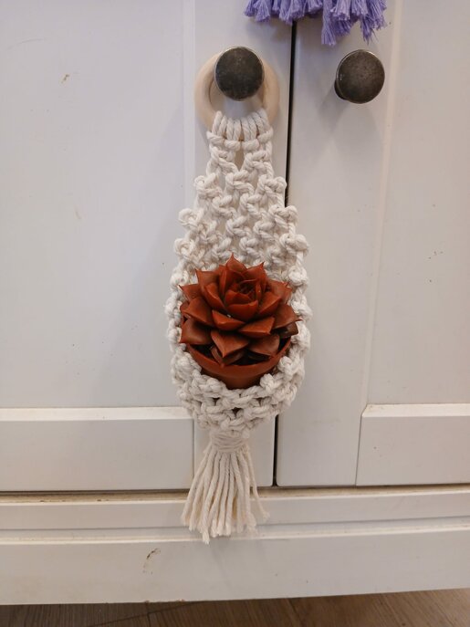 whatsapp image 2026-01-22 at 20.42.14.jpeg whatsapp image 2026-01-22 at 20.42.14.jpeg