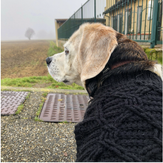 screenshot 2026-01-08 alle 12.45.33