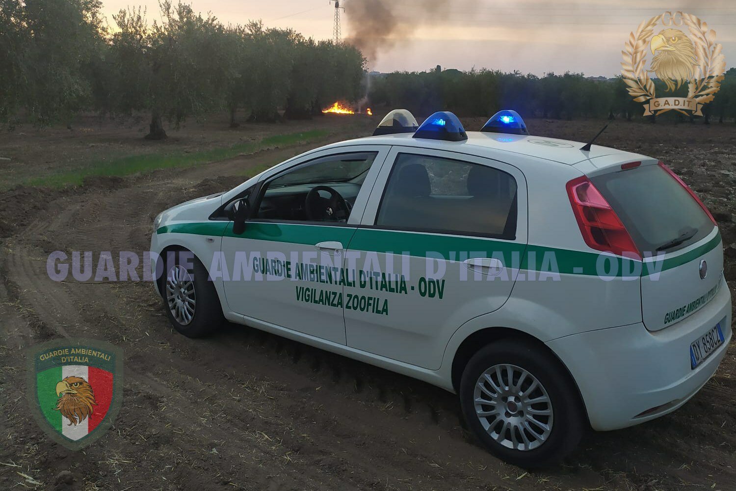 gadit_fiat_grande_punto.jpeg