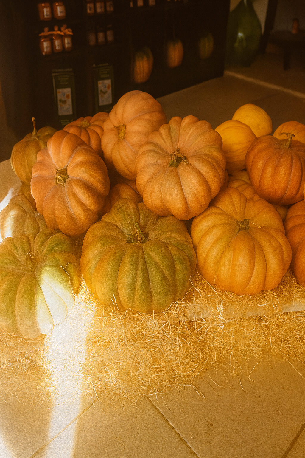 Zucche disponibili a Manduria da Apulia Farm