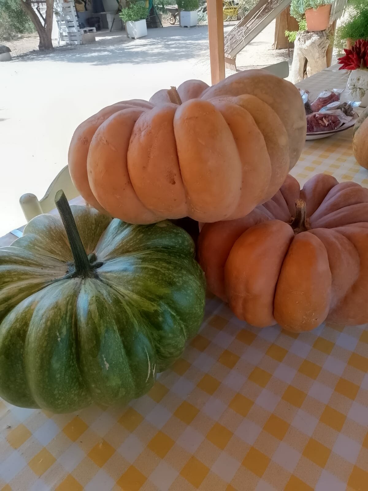 Apulia Farm ritorna nel punto vendita di Manduria