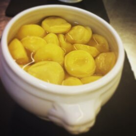 anolini.jpeg anolini.jpeg