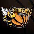 pedrengo prof_b.jpeg